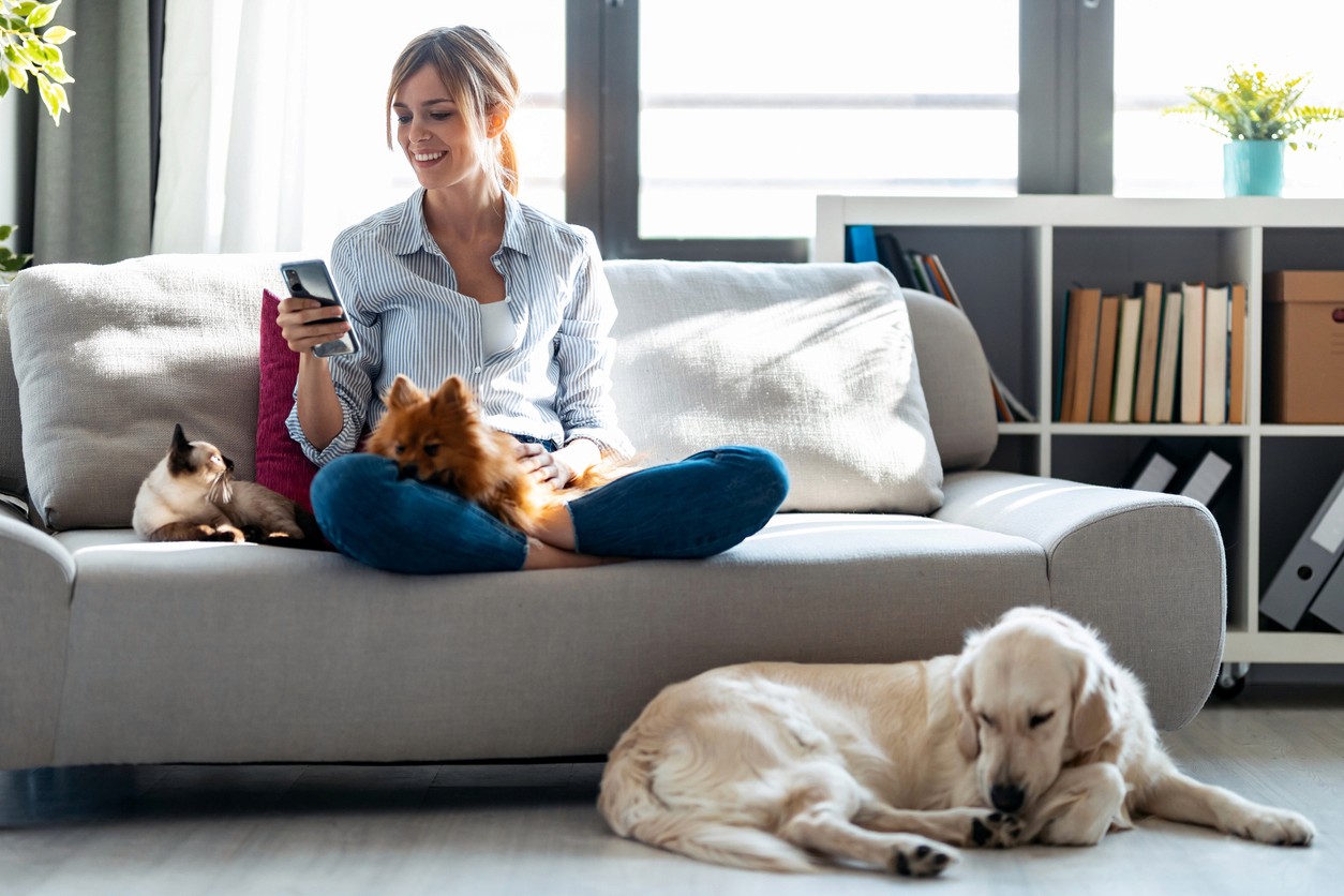 woman on couch with cat in ehr lap and dog laying on the floor