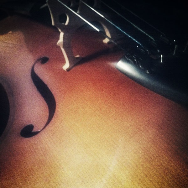 closeup on a violin