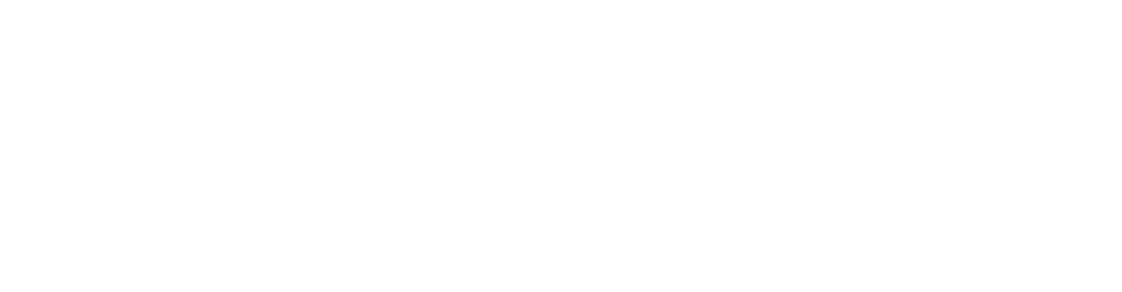 Valton Sport Agency logo