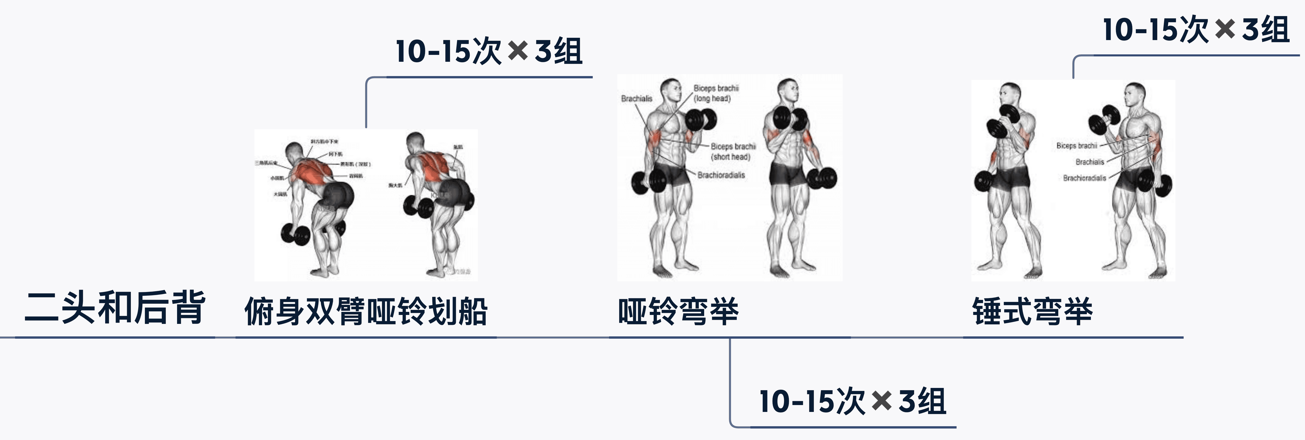 居家健身动作规划图