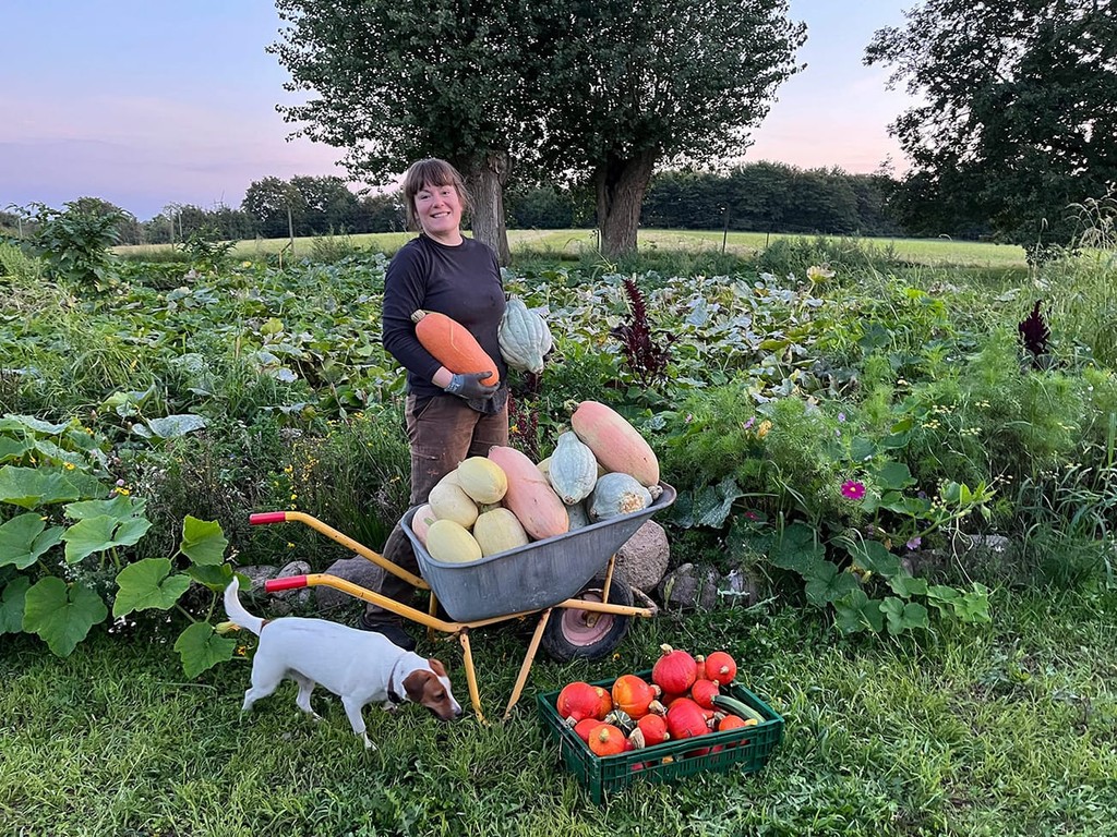 Anne står med spisegræskar foran græskarmarken mens en trillebør er fuld af blue hubbard, jumbo banana og hokaido græskar. 