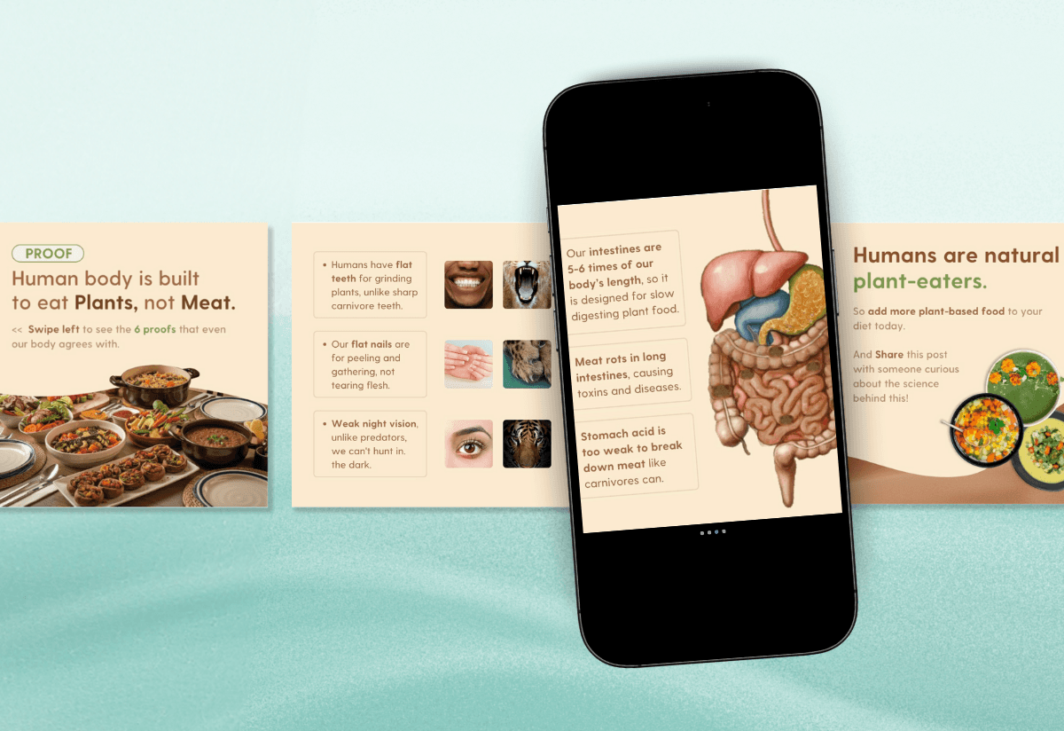 EchoWear is a fashion-forward ecommerce brand specializing in sustainable wearable technology