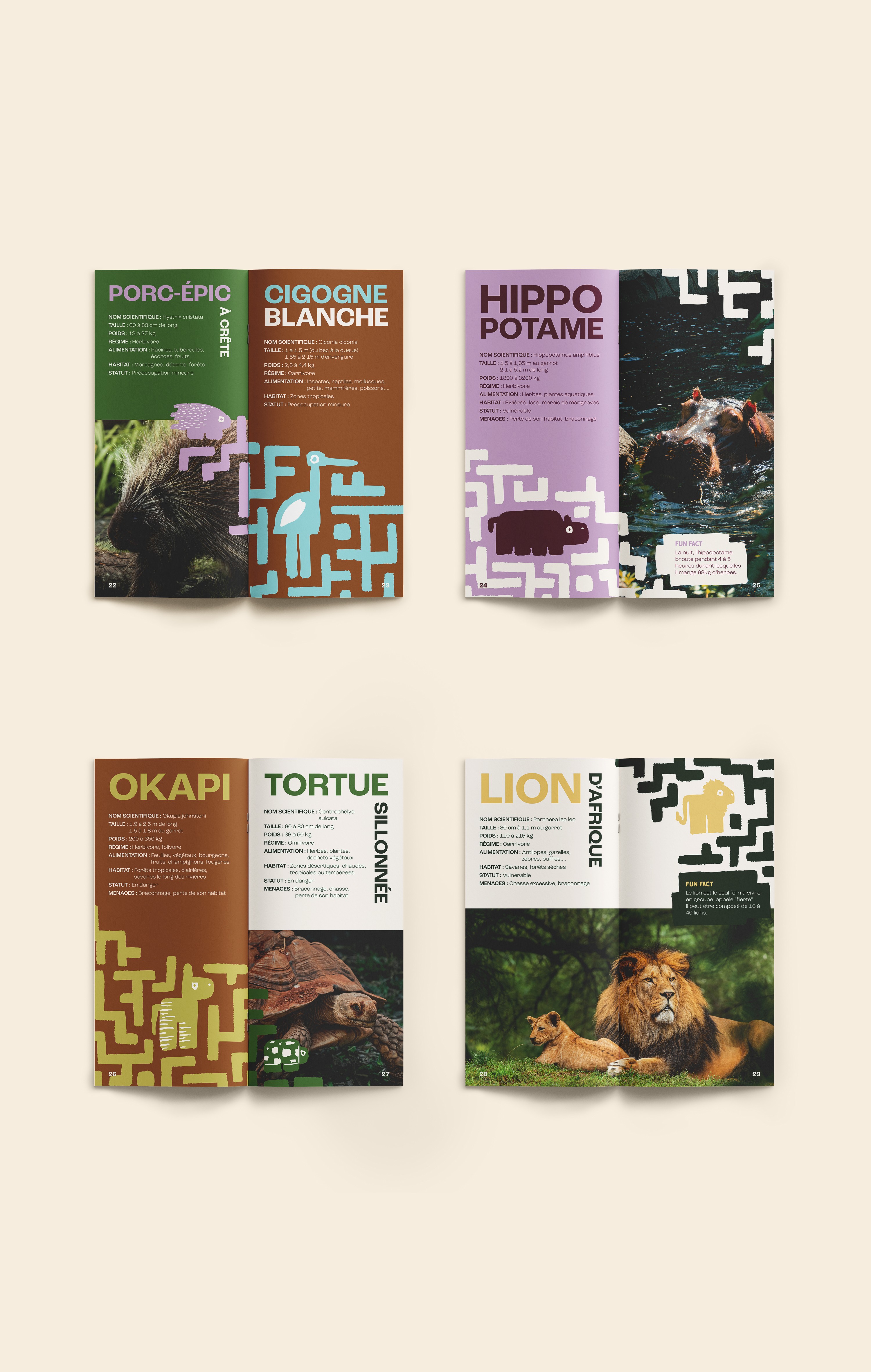 Quatres doubles pages : porc-épic, hippopotame, okapi, tortue et lion