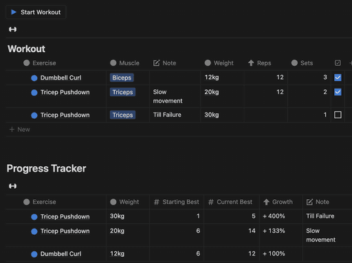 personal trainer client workout