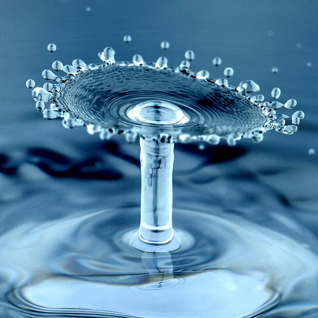 Water drops