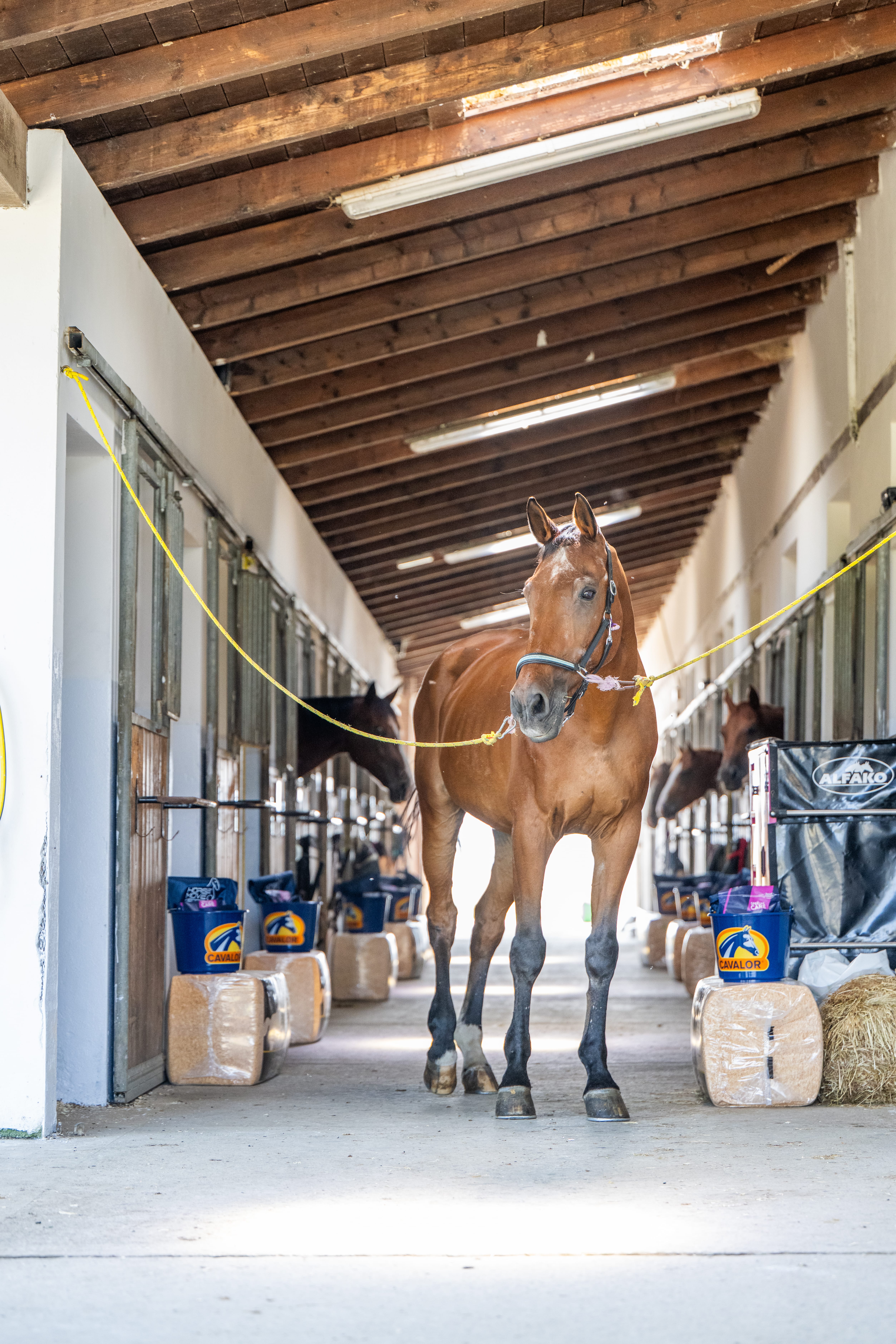 Geometric wooden wall panels with angled shapes and warm highlights.