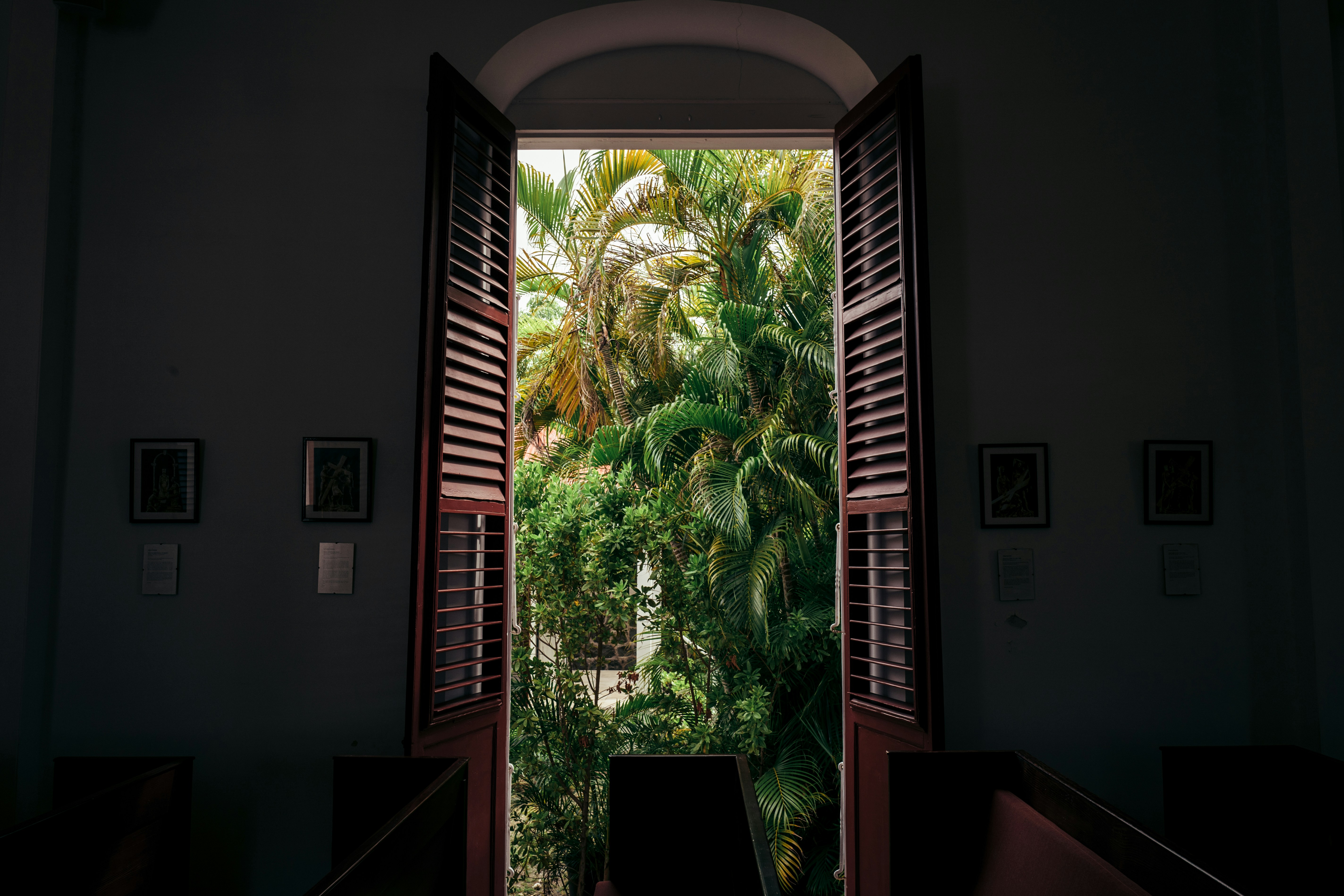 Open doorway revealing lush green tropical foliage