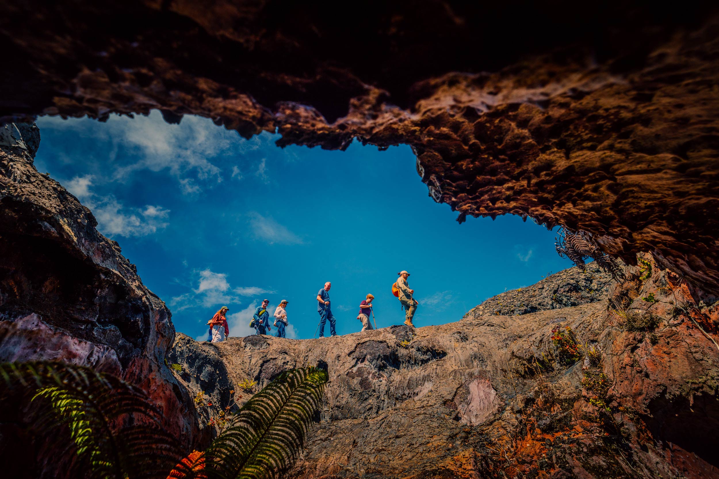 HAWAII FOREST AND TRAIL VOLCANO