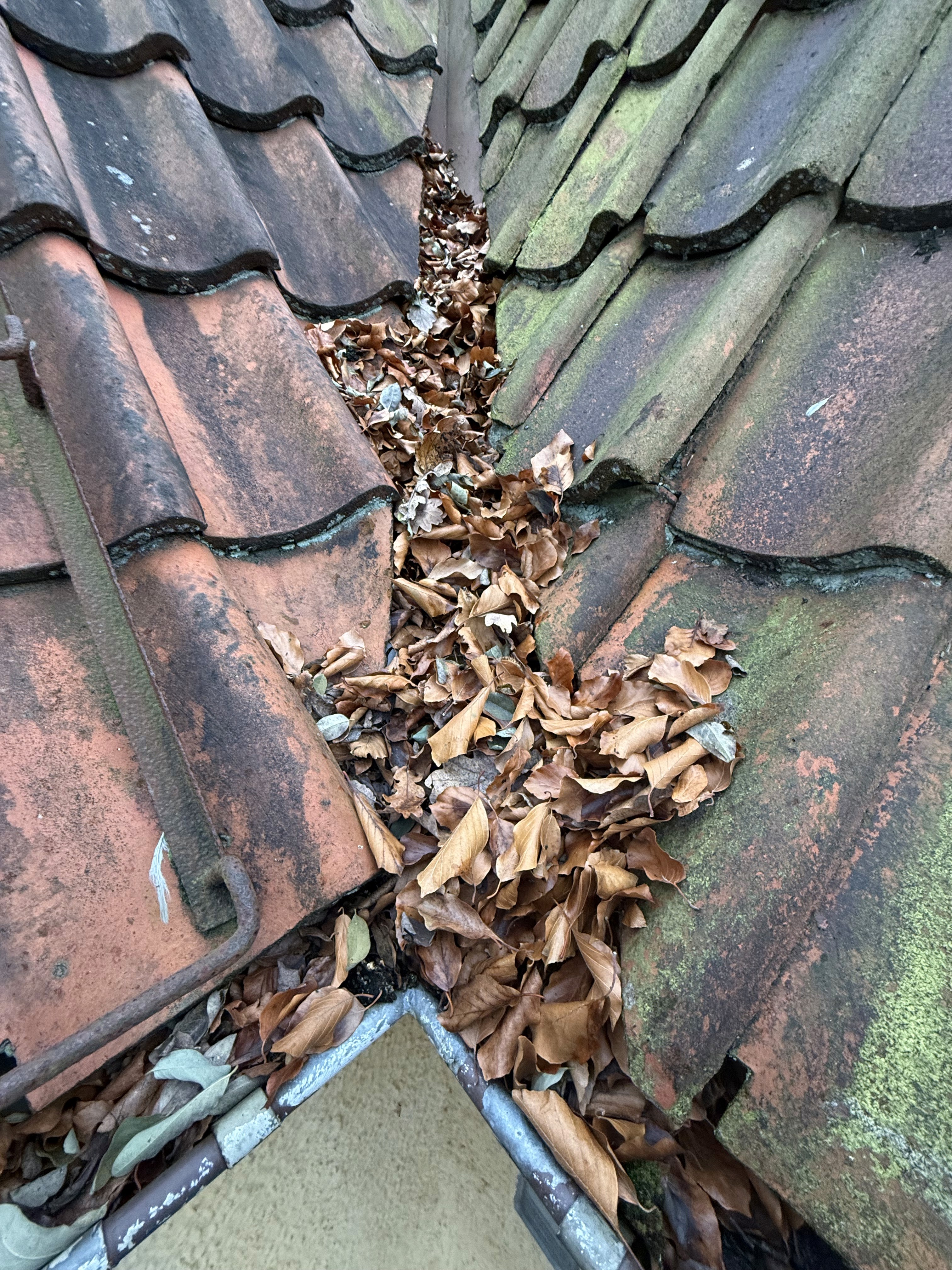 Aquafix, Rensning av hängrännor i Stockholm, Förebild