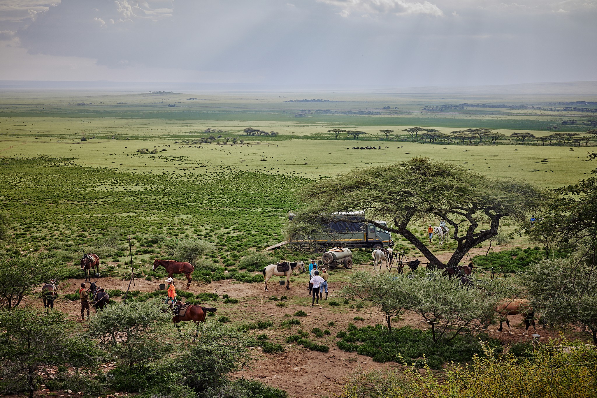 Grupp av ryttare på ridresa i Afrika galopperar över Serengetis vidsträckta slätter medan damm och gnuhjordar rör sig över horisonten under the great migration.