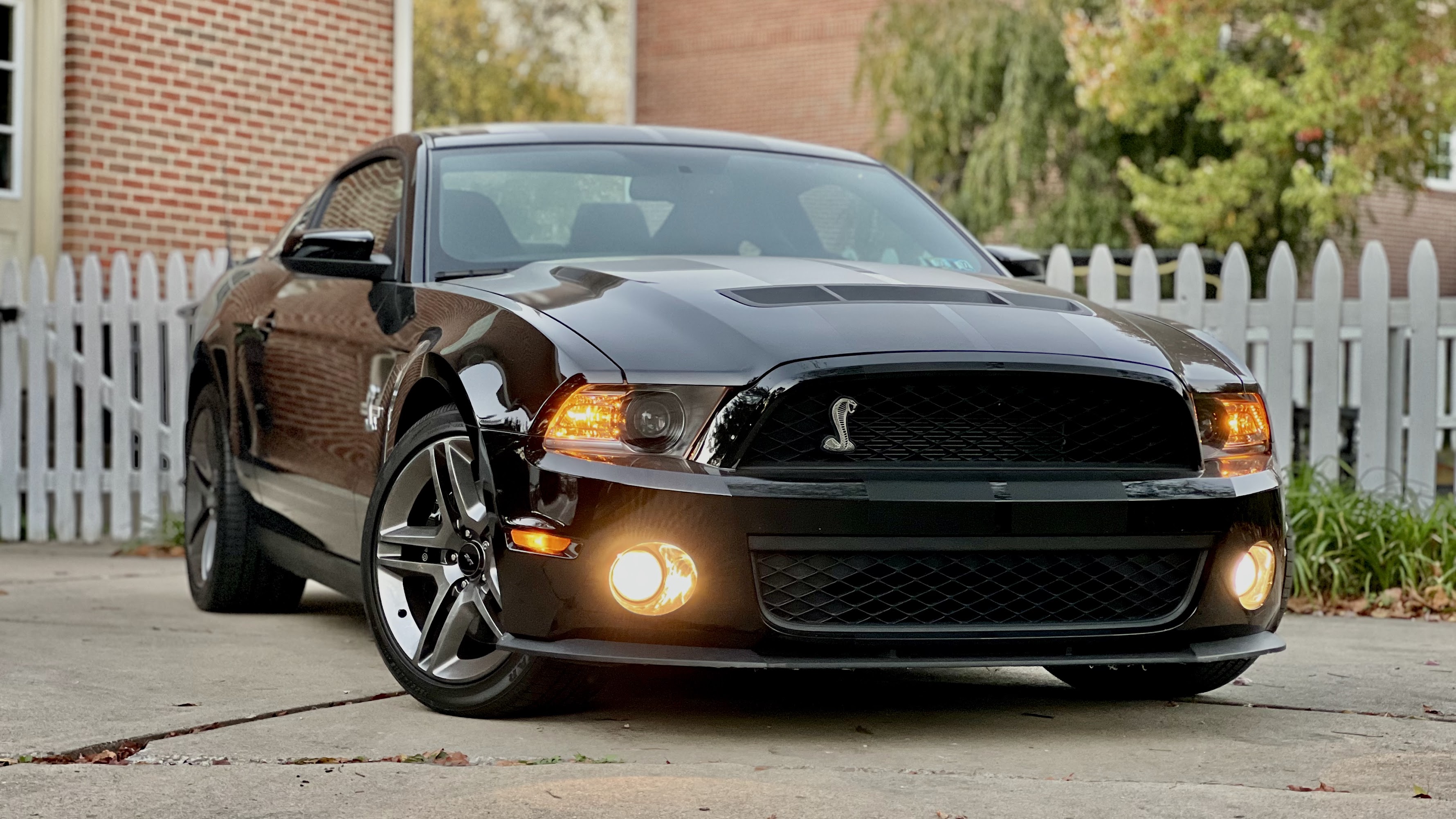 ぽてページ 2012 Shelby GT500 – TSTDRVR