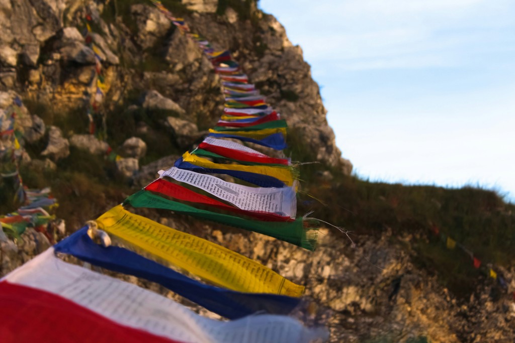 PayPal is catching up with other stablecoin networks to provide instant settlement with PYUSD (Rohan Aggarwal / Unsplash)