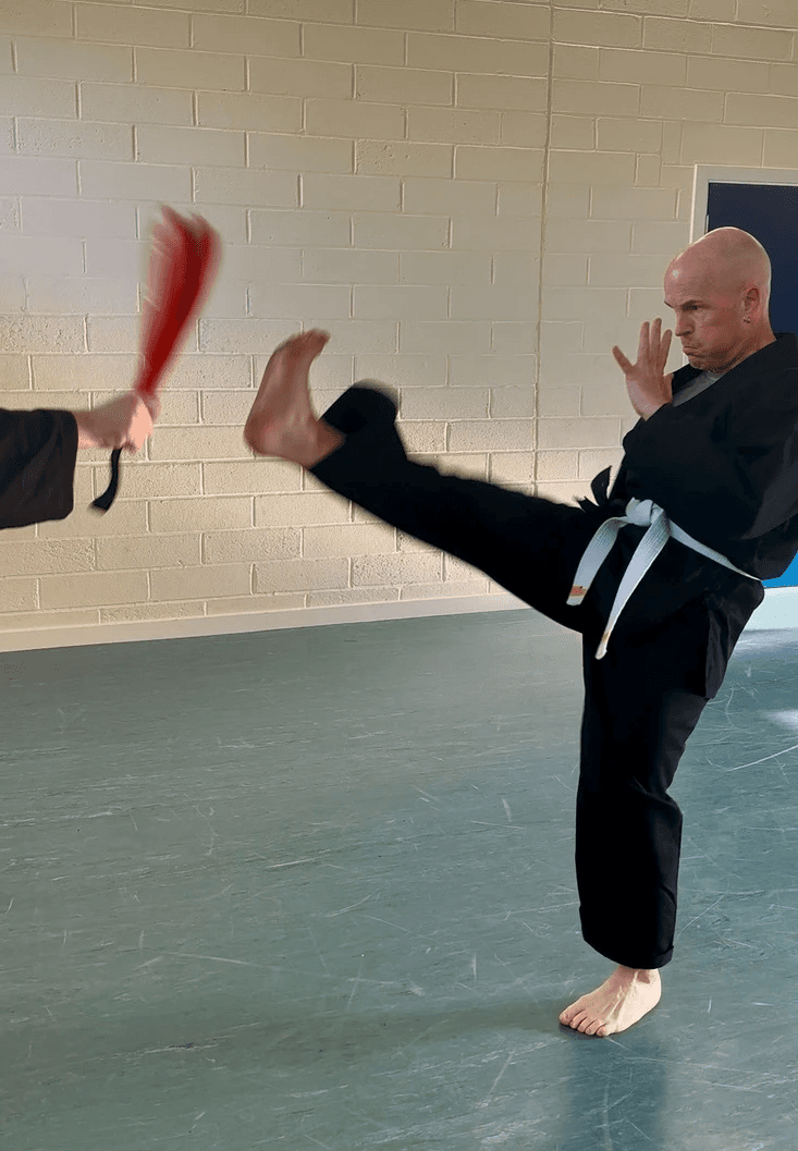 A martial artist performs a high kick, wearing a black uniform and white belt, focused on a red training pad held by another student.