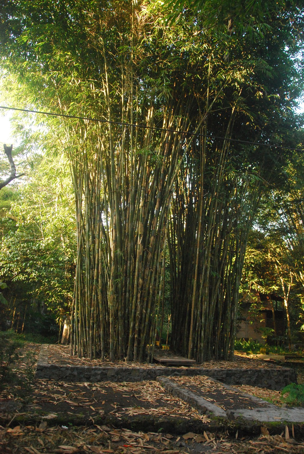 Liok Hap (Mind Gate / Lawang Awangen) | Ruas Bambu Nusa