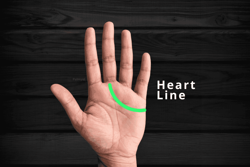 Heart Line in Palm Reading - Palmyst