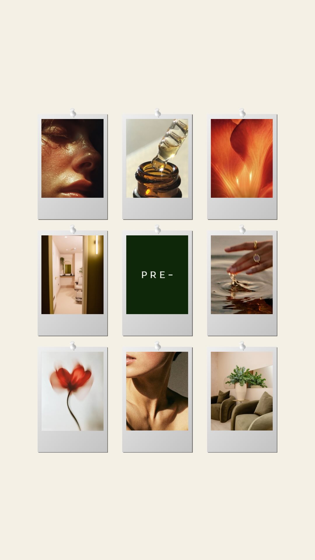 PRE — campaign image 2