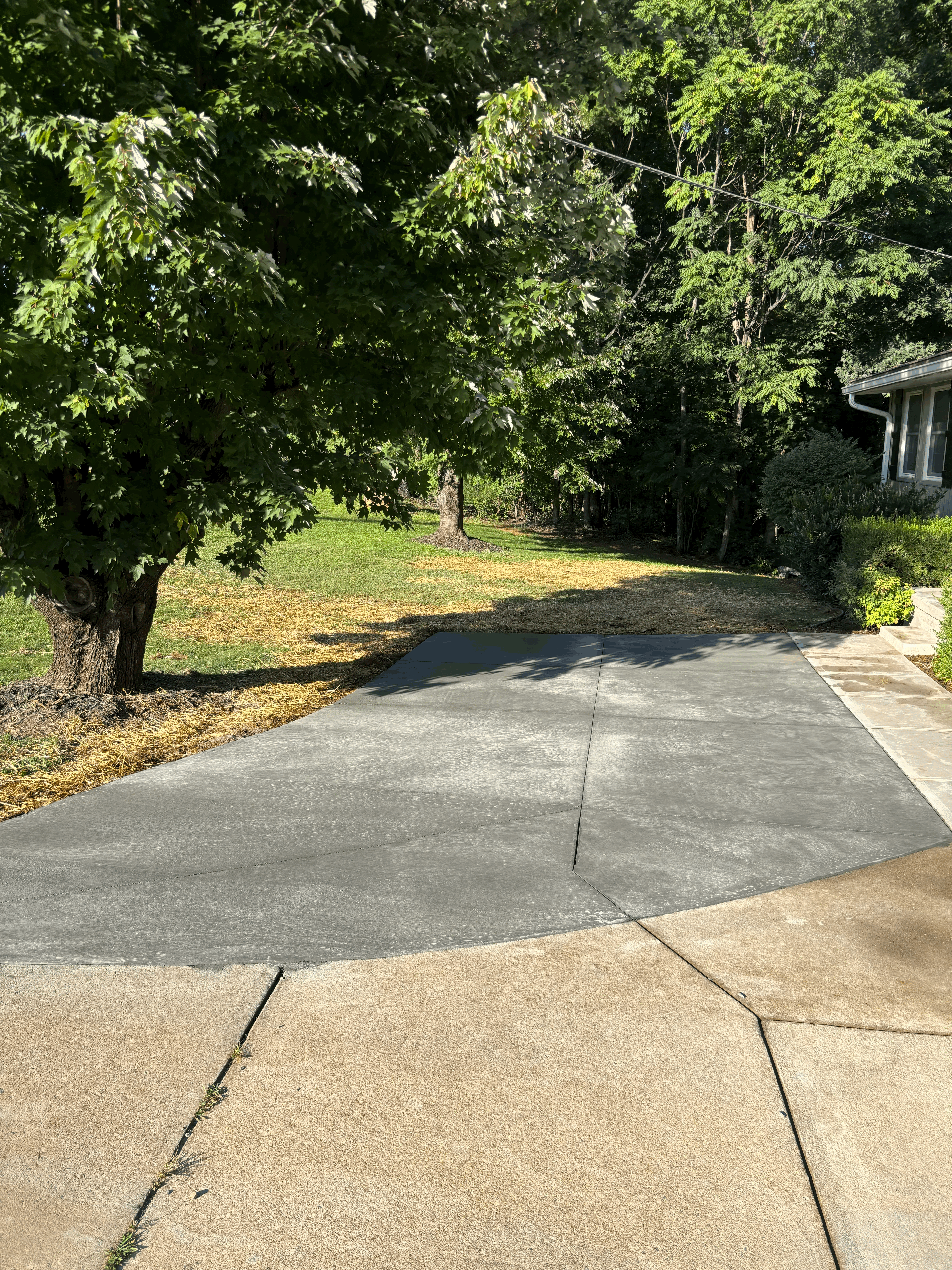 Poured concrete steps and a finished patio slab at the back door of a home