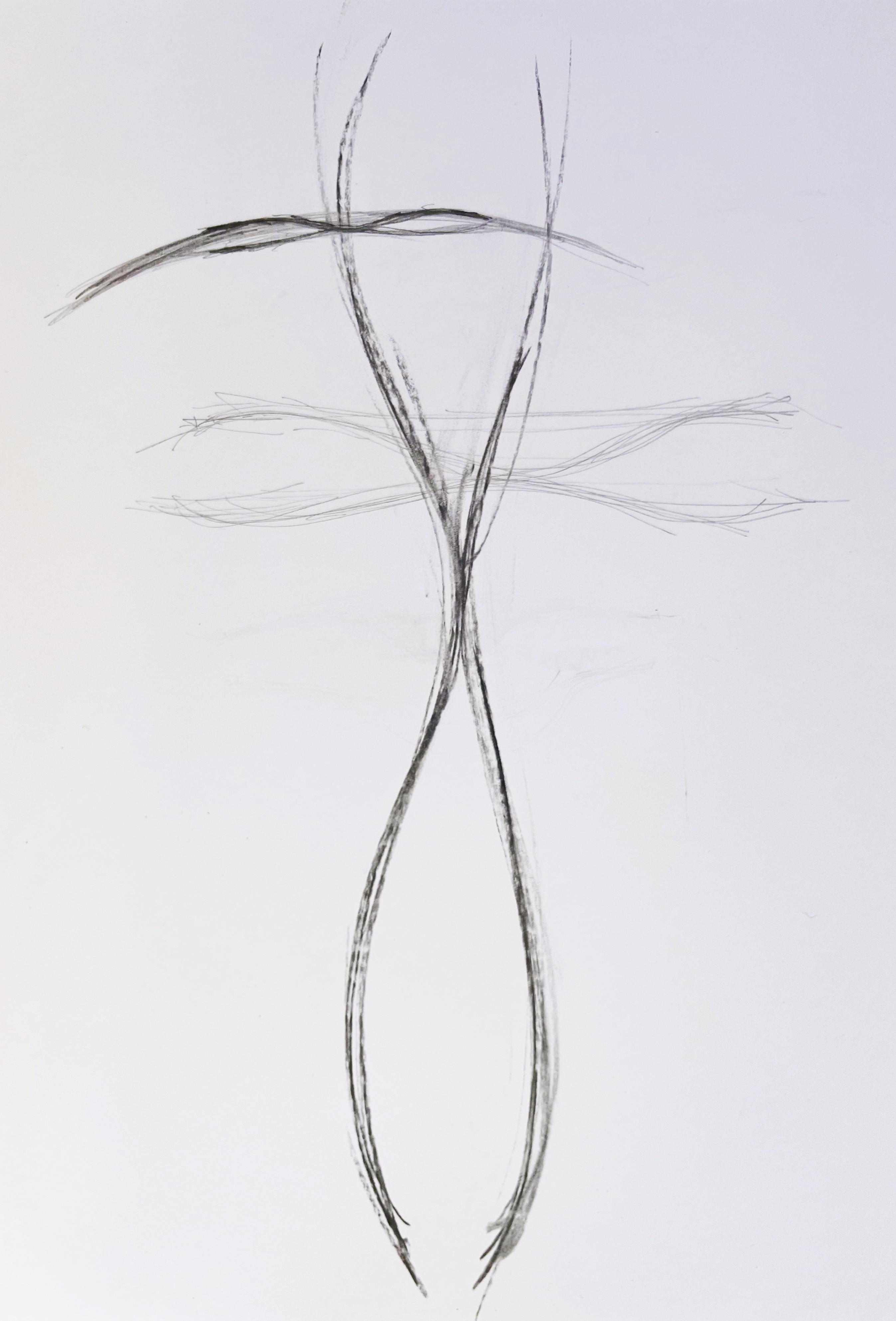 House Paris project drawing