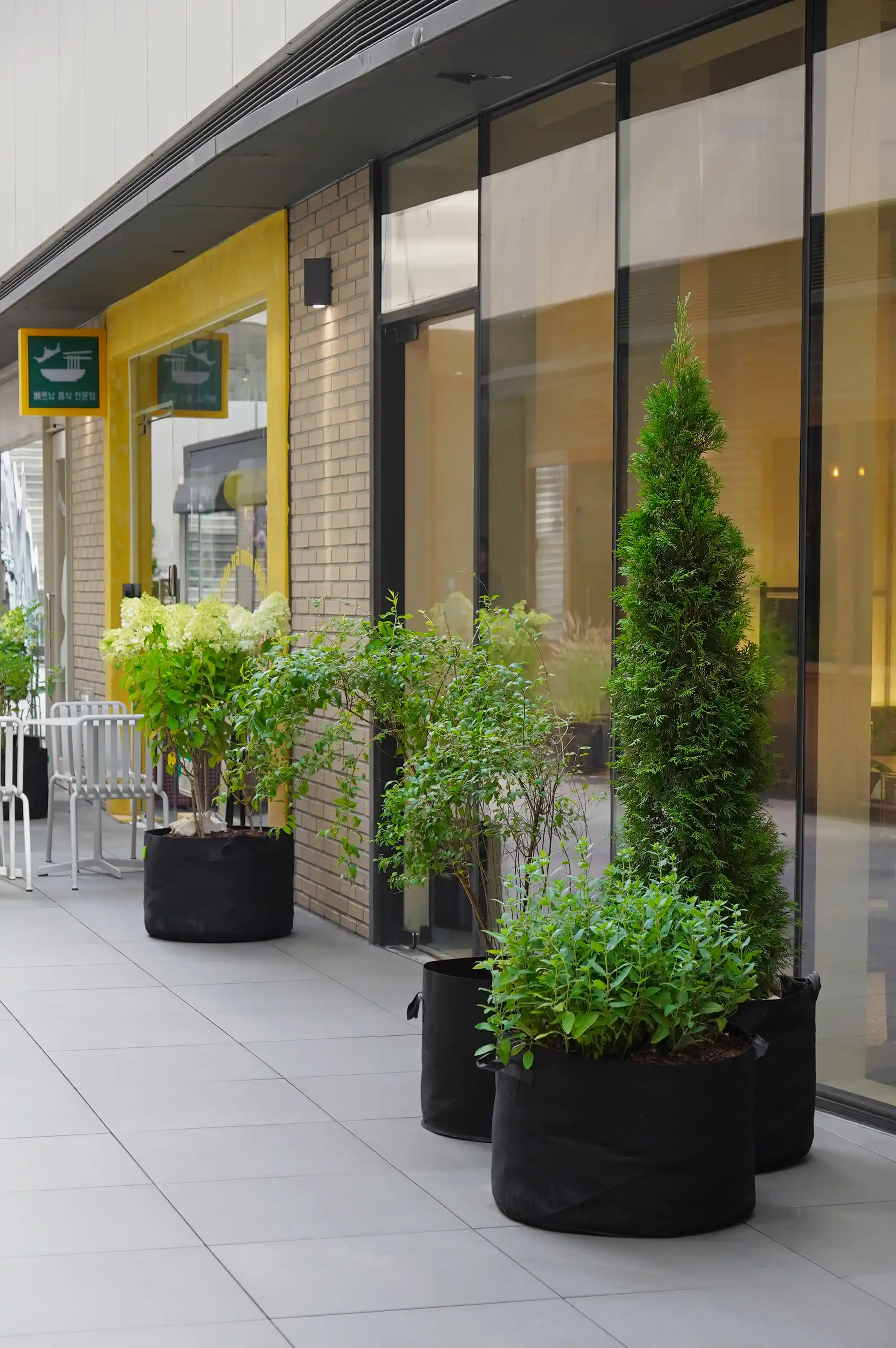 테라스에 다양한 높낮이의 관엽식물 화분이 있는 모습