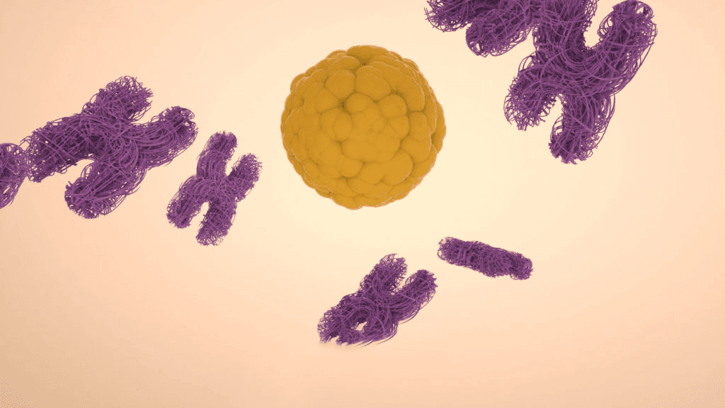 intracellular journey through chromosomes