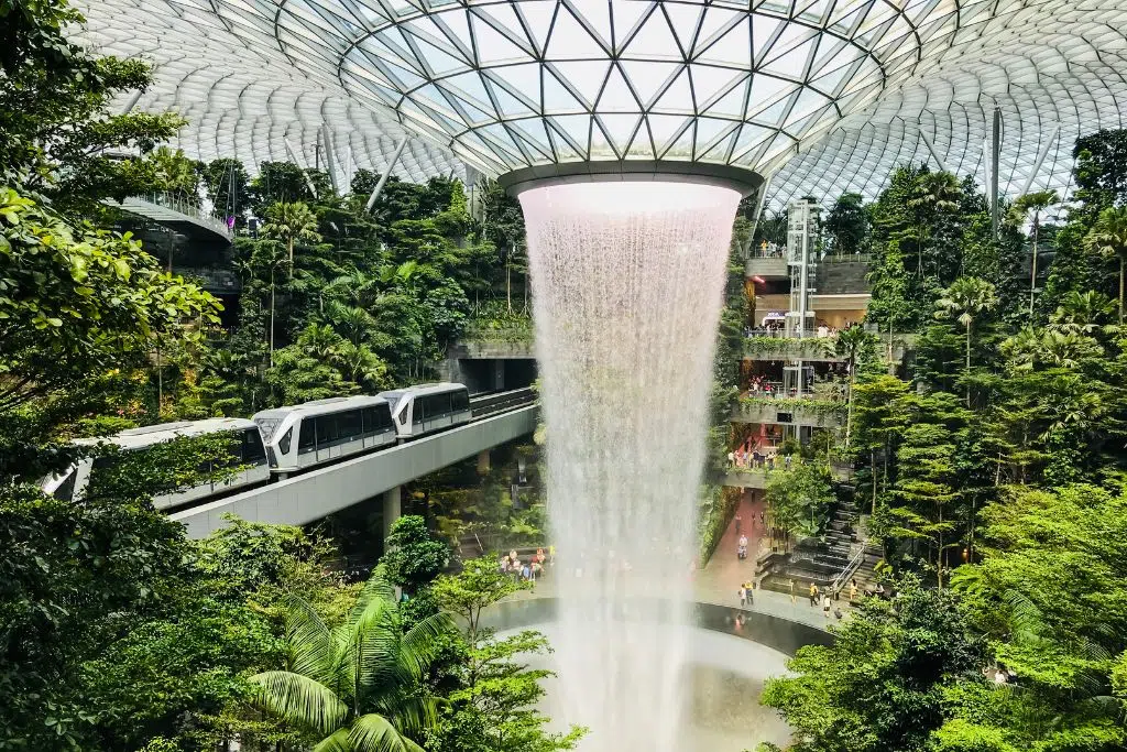 Workspaces with natural elements and plants
