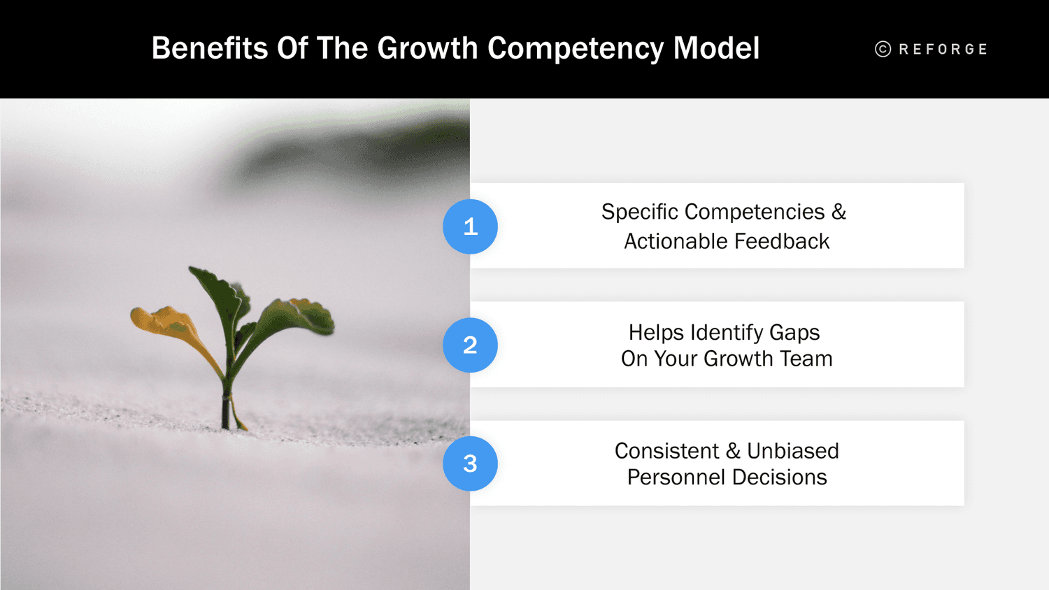 The Growth Competency Model-7.png