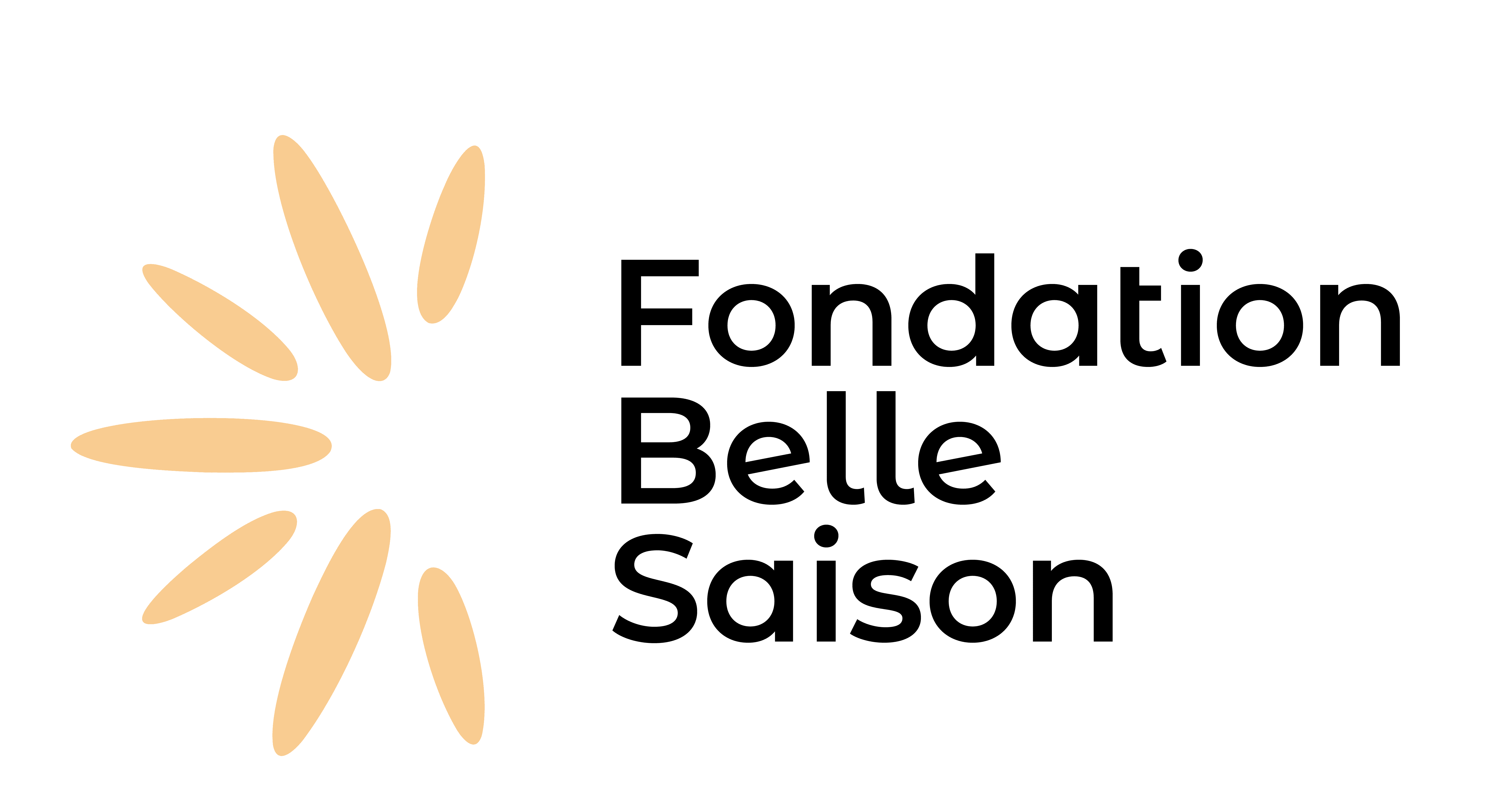 Fondation belle saison logo