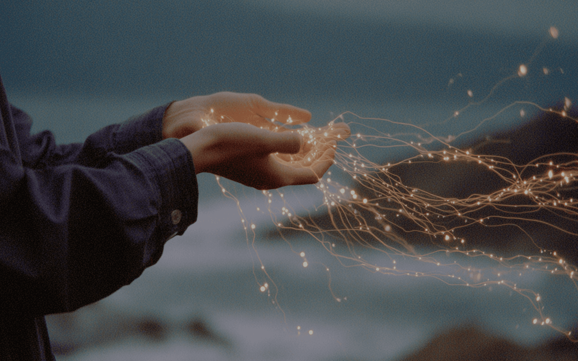 Bellevoire Reception