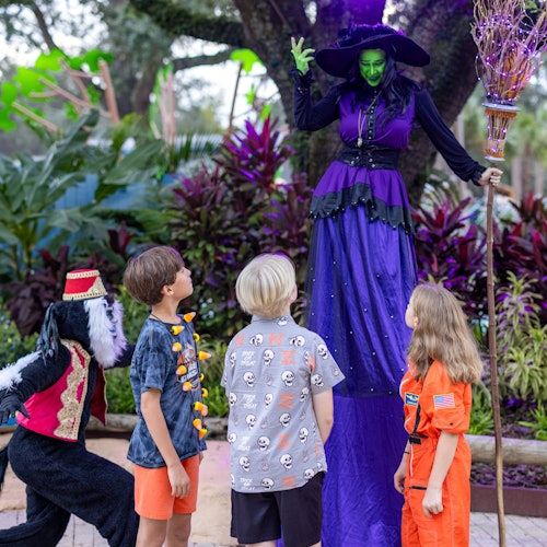 Children in Halloween costumes interact with a tall witch on stilts holding a broomstick in a garden setting.