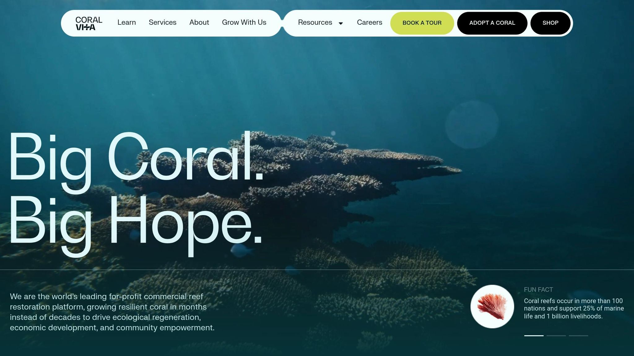Coral Vita