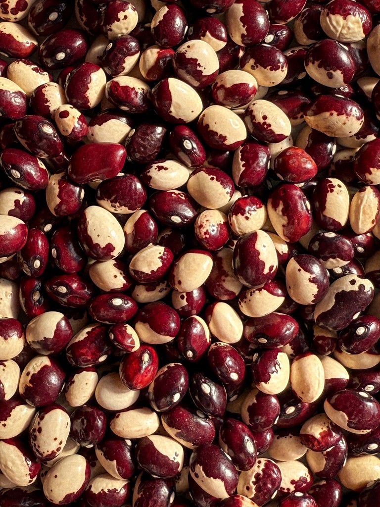 Chef Paolo Salvati ingredients — Tuscan producers for Dubai interventions