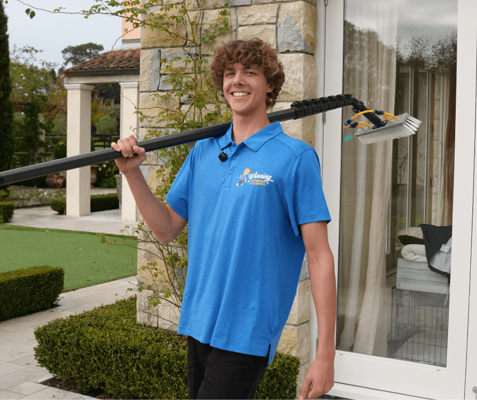 pure water systems window cleaning