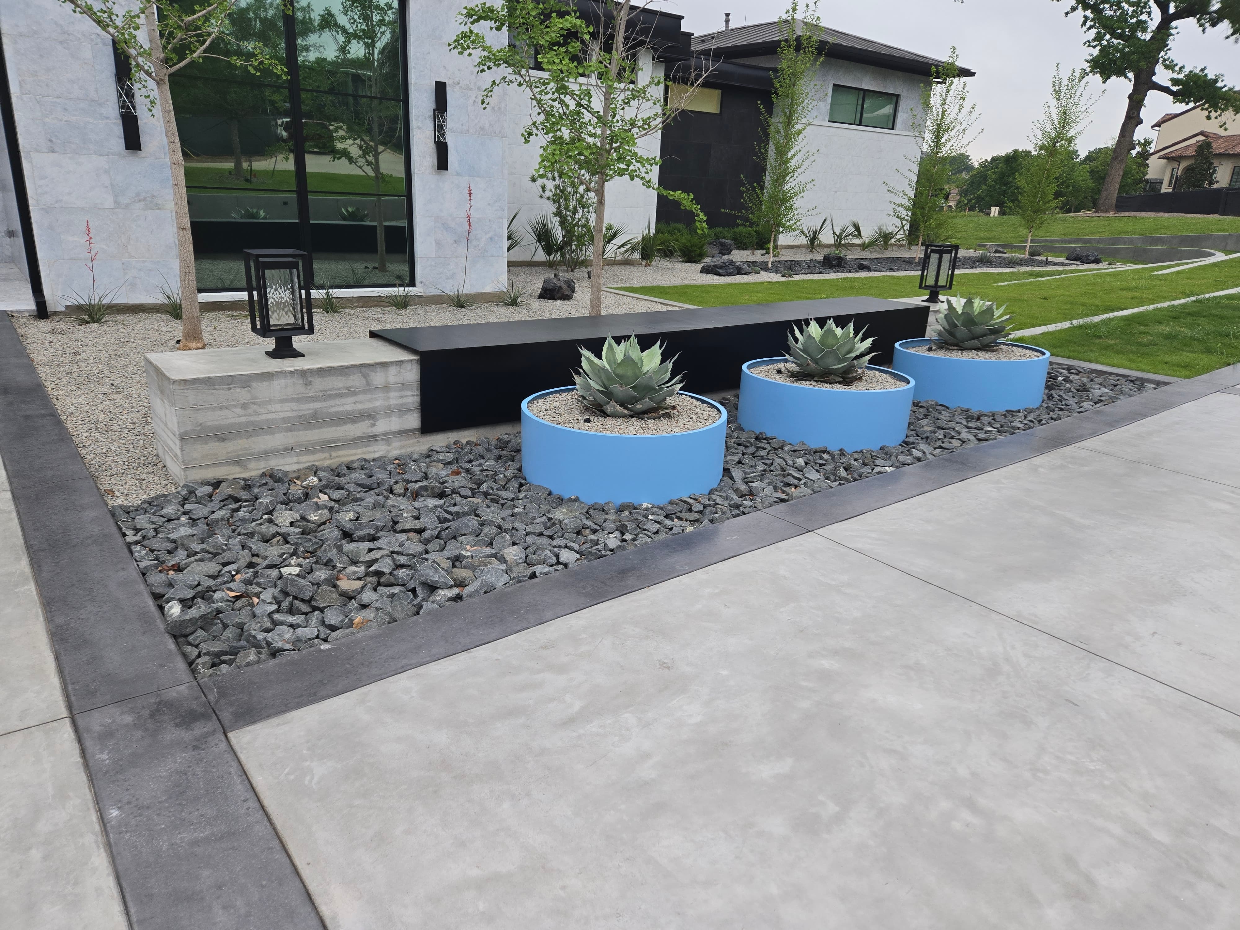 Front entry approach with broom-finish concrete walkway, blue steel succulent planters, and slim ornamental trees