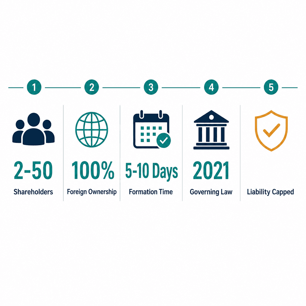 Infographic: LLC in Dubai: Meaning, Structure, Trade Licence and Setup Guide