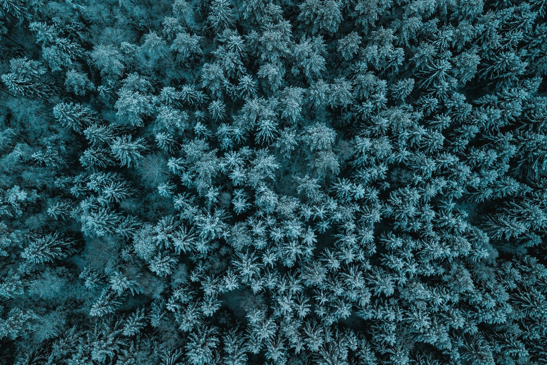 Frozen Greenland