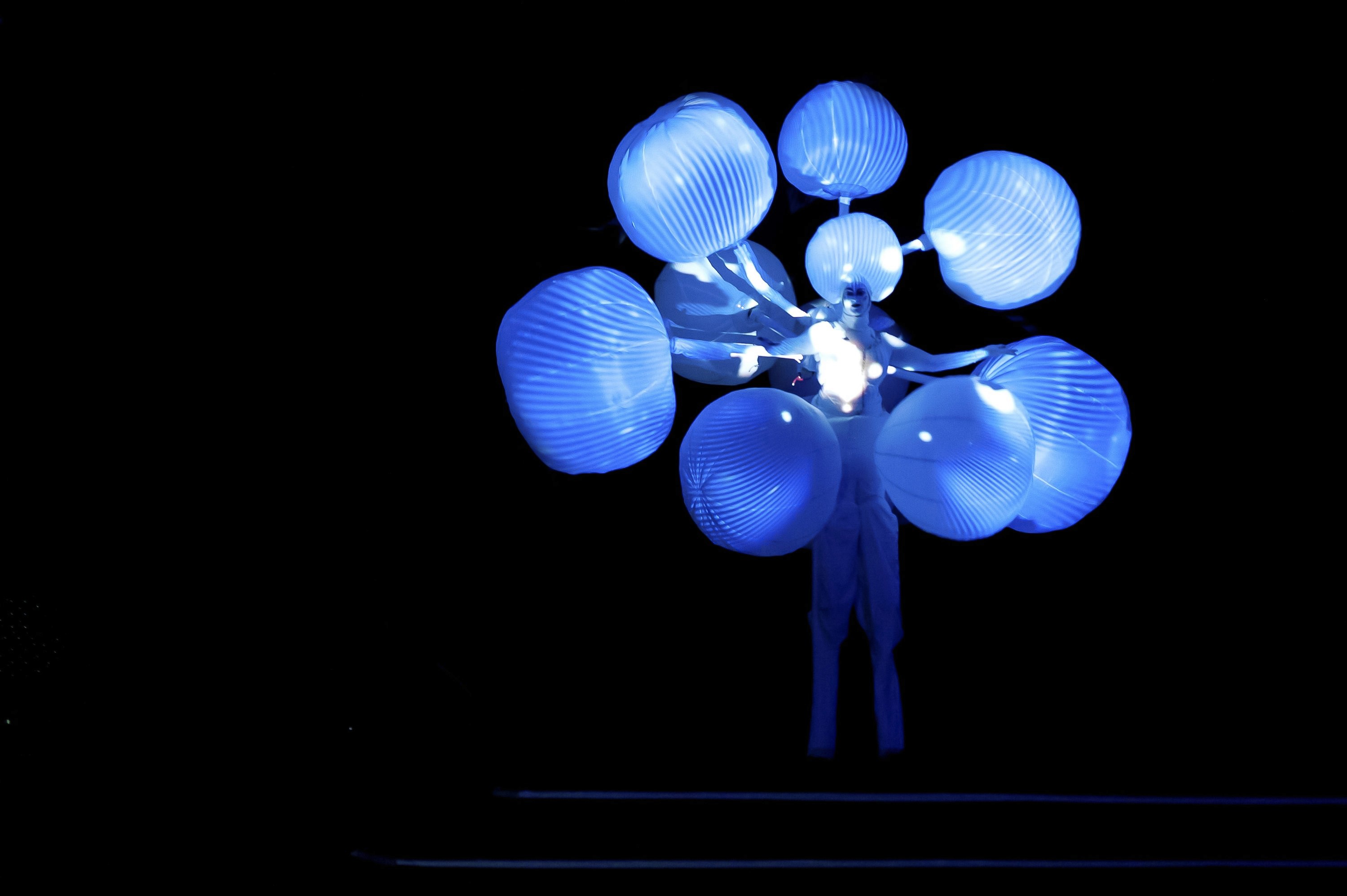 Imago Floris - augmented interactive performance installation