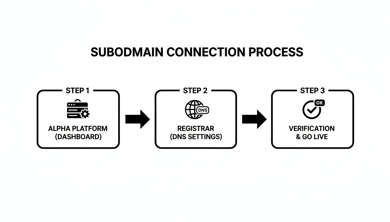 Process flow diagram illustrating three steps for subdomain connection: platform, registrar DNS settings, and verification to go live.