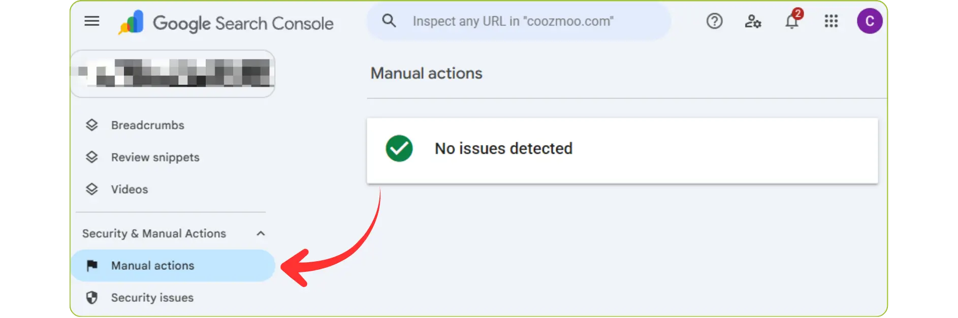 Google Search Console dashboard displaying Manual actions status with no issues