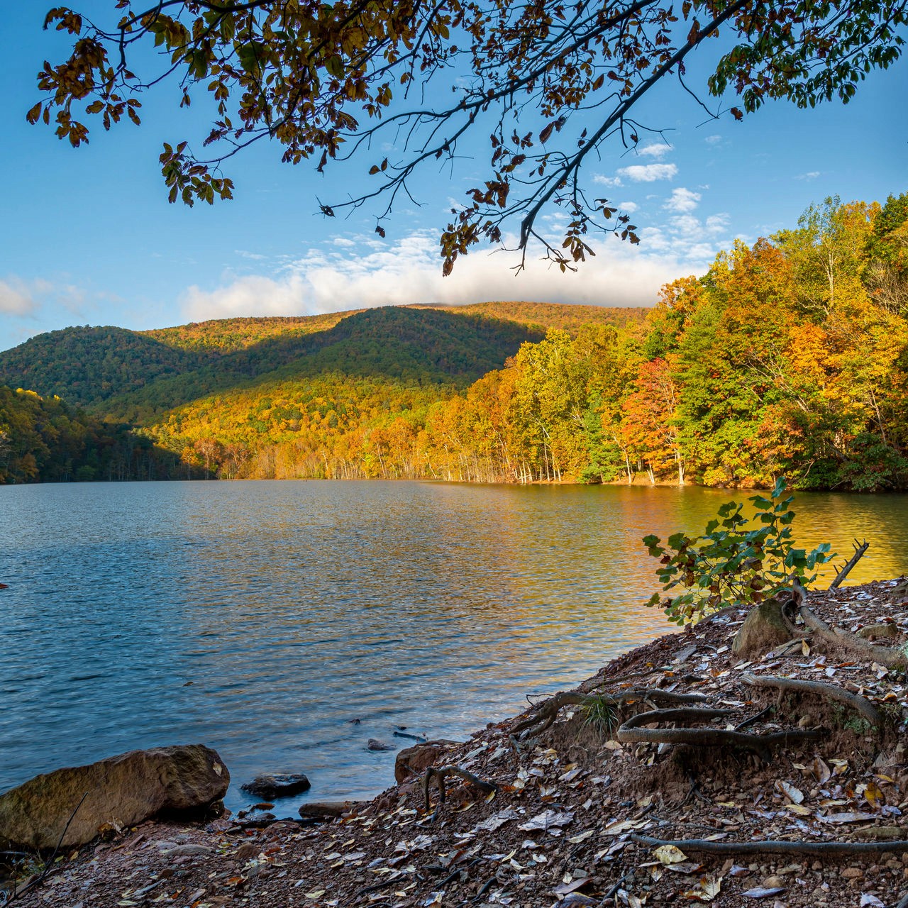 Best time for fall foliage in Blue Ridge Mountains, Afton Virginia