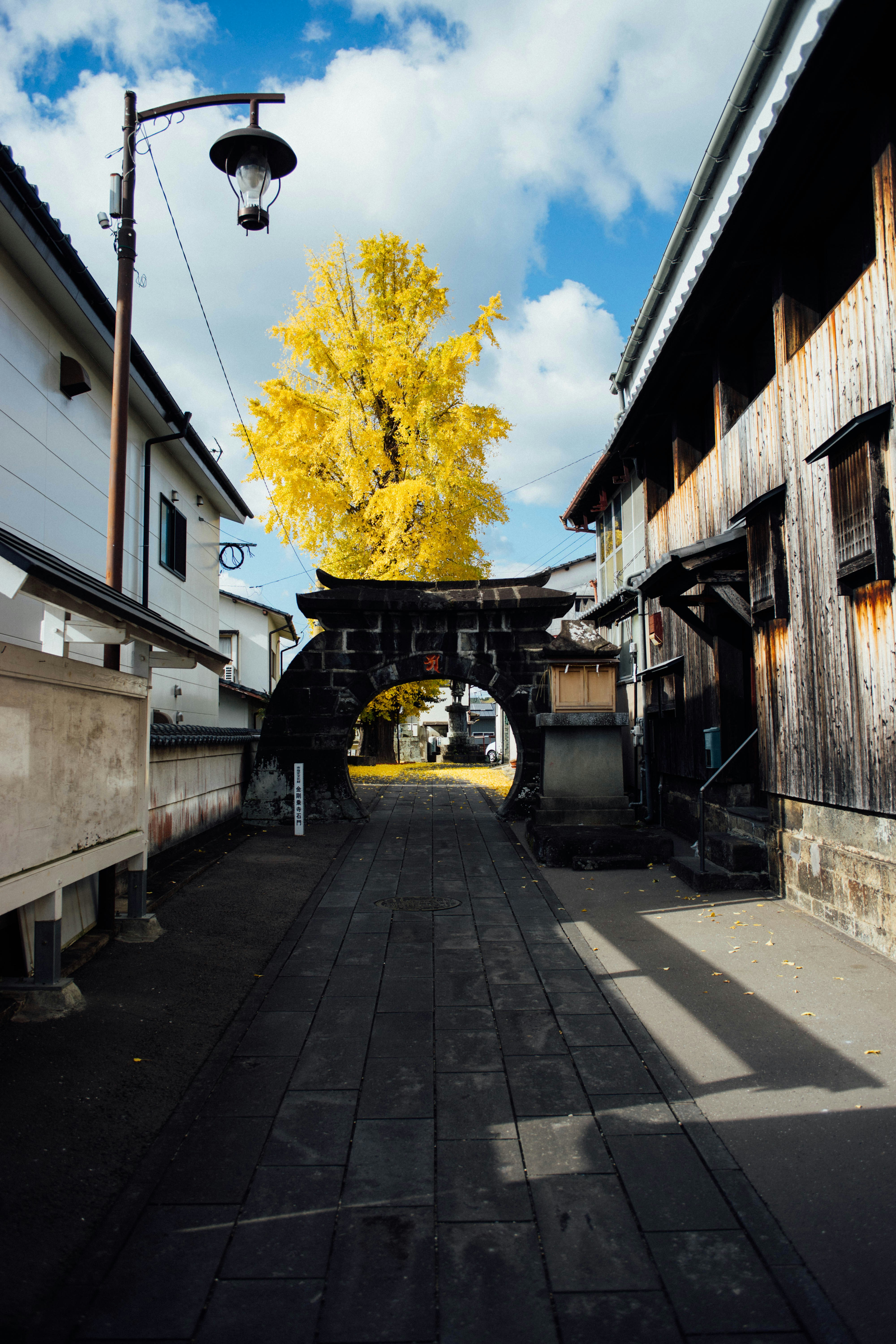 A narrow alley with a yellow tree in the background