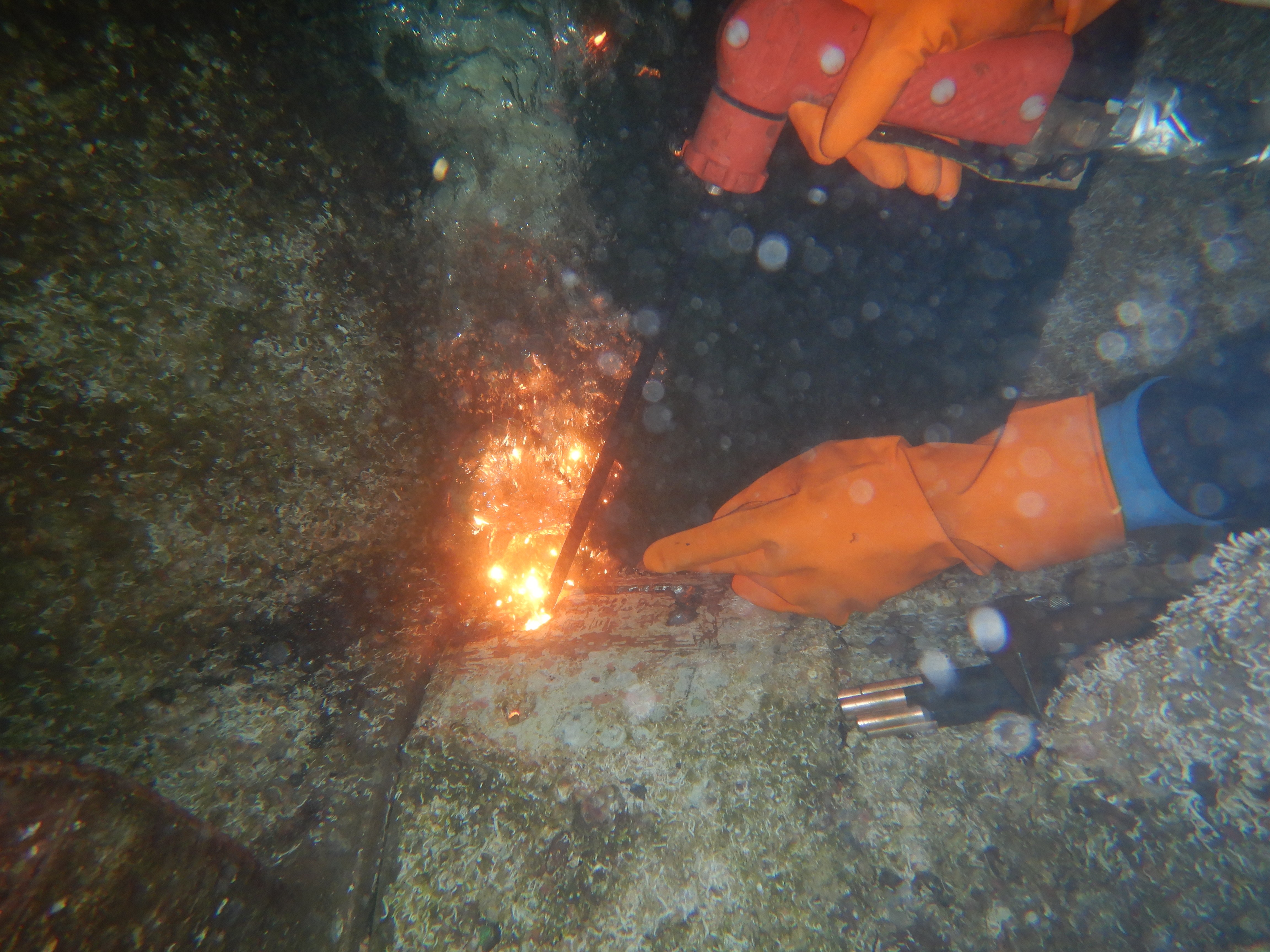 photography of two persons underwater