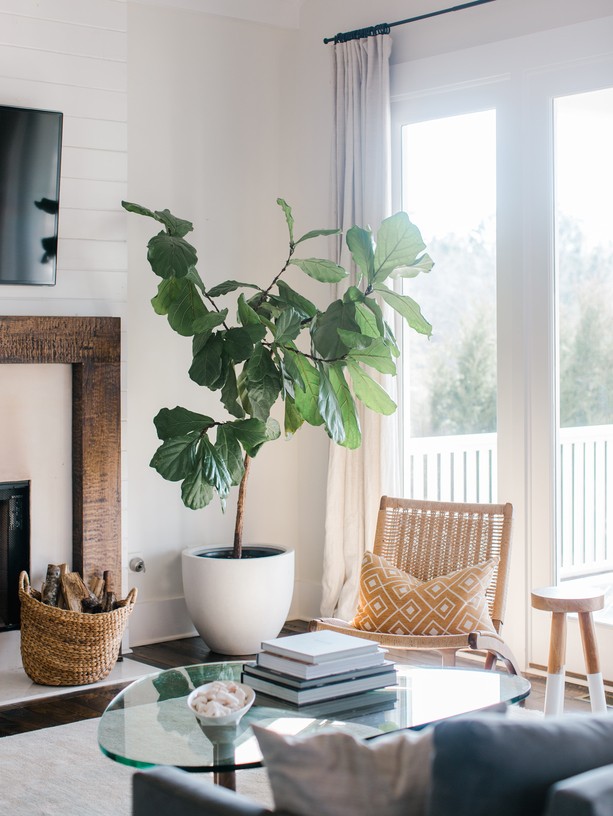 Landscaper and Landscaping gardening service template framer by real mehedi