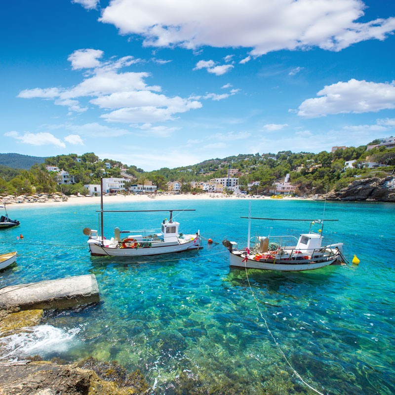 Met een grote groep op het ijs