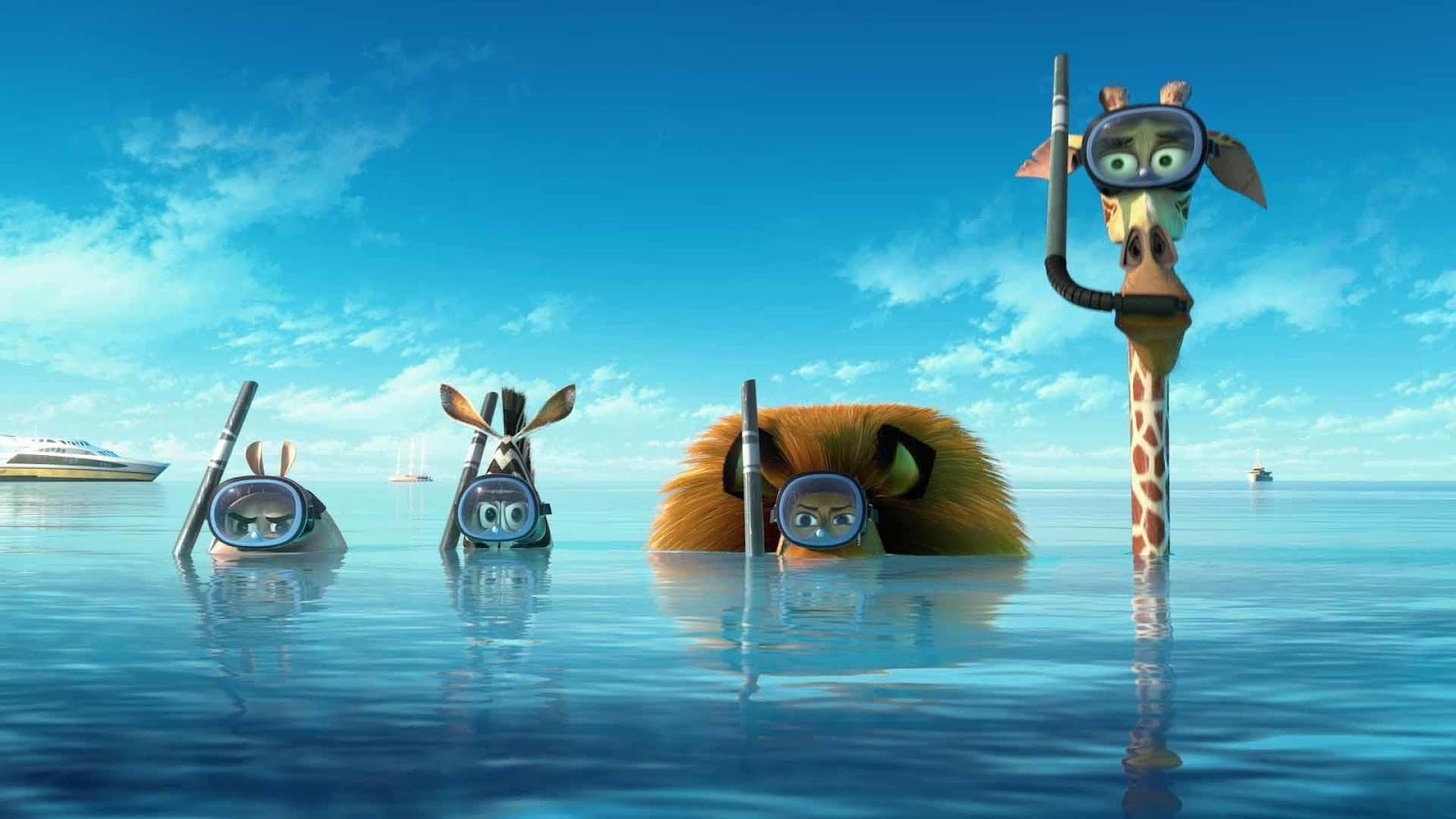 Personajes de Madagascar en fondo Zoom