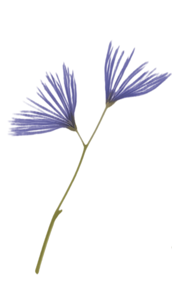 Violet flowers as part of Flowgenix’s website theme