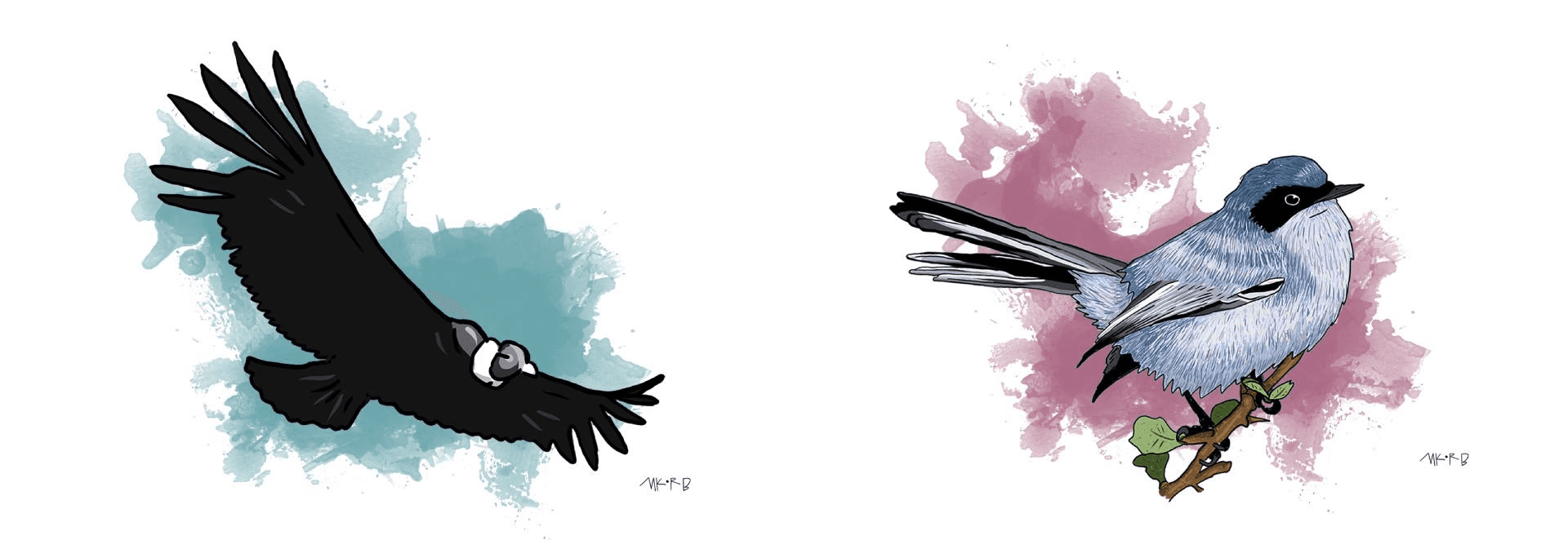 Ilustracion de aves sobre fondos de acuarela