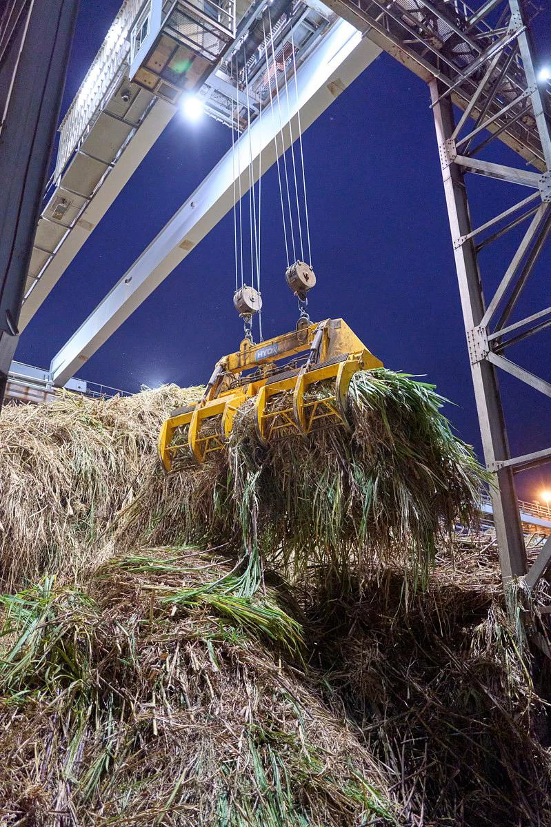 Campagne sucrière de nuit : chargement de la canne à sucre sous les projecteurs au 974