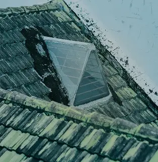 Mossy roof tiles before cleaning