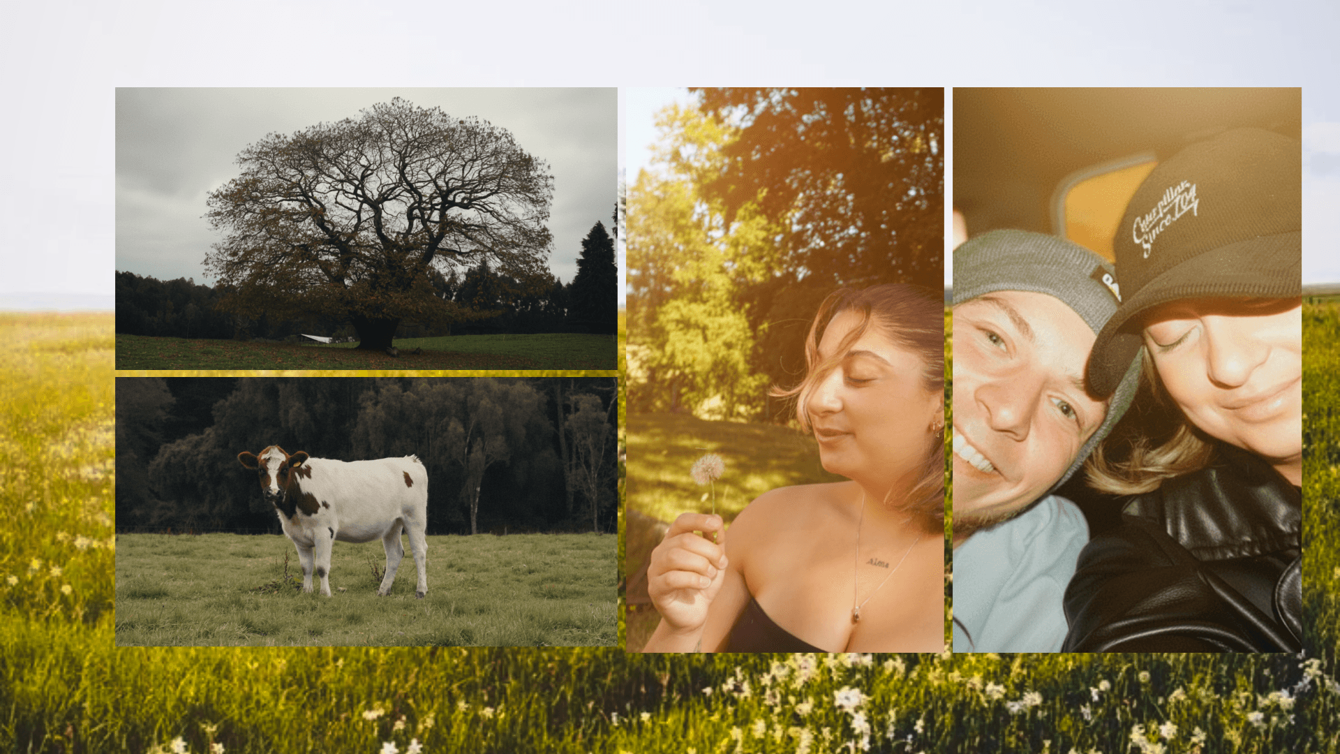 A boat in the middle of the sea