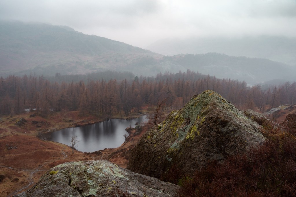 A misty photograph of Holme Fell reservoir taken from behind a couple of rocks. The dark brown-red trees reflect in the water.